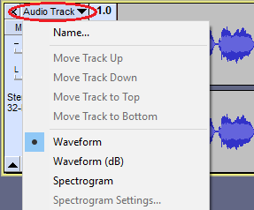 Audio Track Dropdown Menu trimmed.png